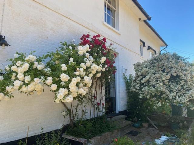 Apartamento Old Rectory - Scoulton Great Ellingham Exterior foto