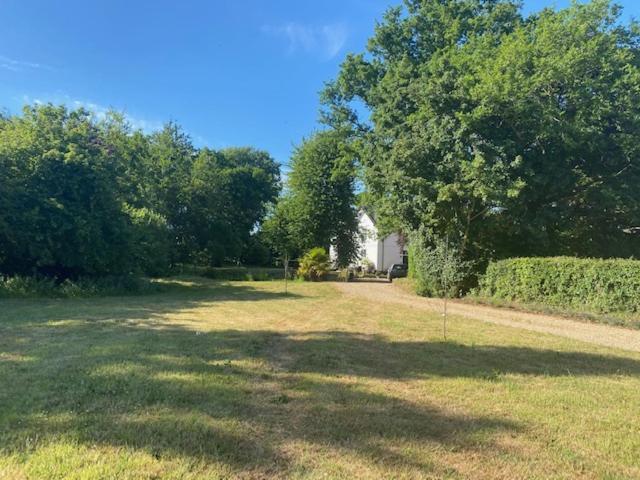 Apartamento Old Rectory - Scoulton Great Ellingham Exterior foto
